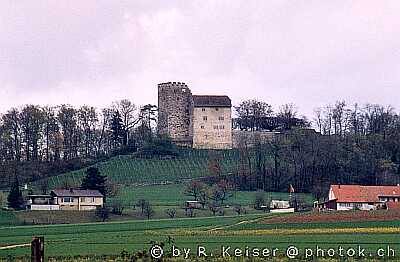 Burg Habsburg Aargau Schweiz
