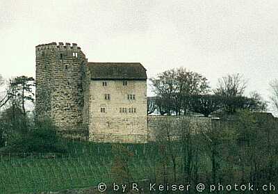 Burg Habsburg Aargau Schweiz