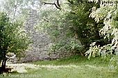 Burg Kapfenstein Kblis Graubnden Schweiz