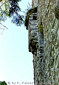Burg Campell  Sils i.D.  Graubnden  Schweiz