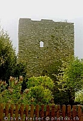 Burg Zizers Graubünden Schweiz