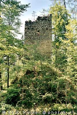 Burg Klingenhorn Malans Graubünden Schweiz