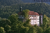 Schloss Rhzns Graubnden Schweiz