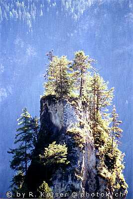 Burgruine Greifenstein Filisur Graubünden Suisse