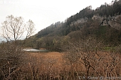 Wichenstein Oberriet St.Gallen Schweiz