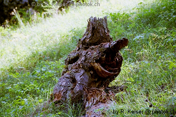 Susch, Graubnden, Schweiz