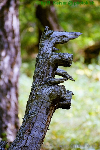 Susch, Graubnden, Schweiz