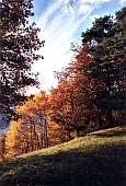 Scharans Graubnden Schweiz  (Herbst)