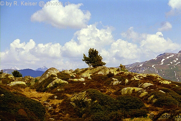 Laj Davons, Andeer, Graubnden, Schweiz