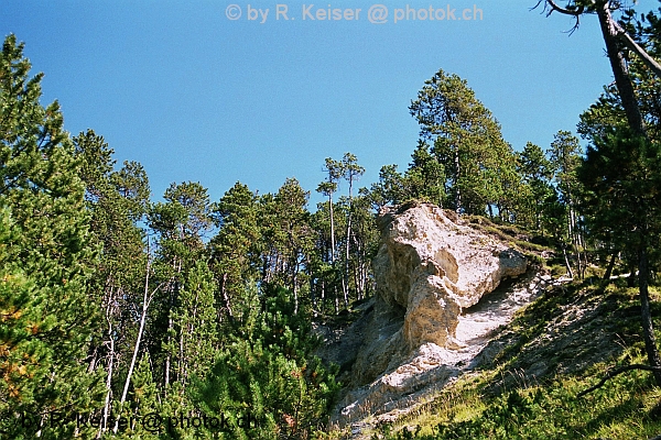 Surava, Graubnden, Schweiz