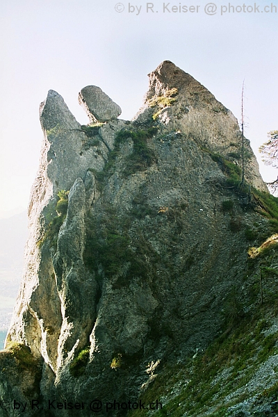 Kunkels, Tamins, Graubnden, Schweiz