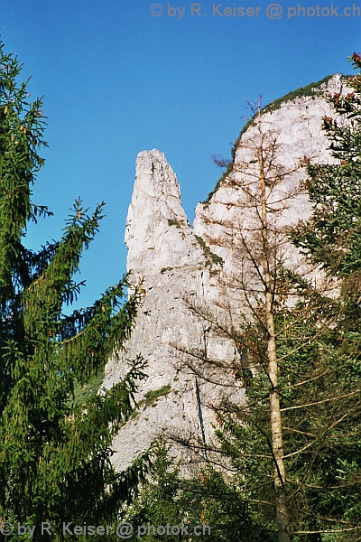 Turm, Tamins, Graubnden, Schweiz