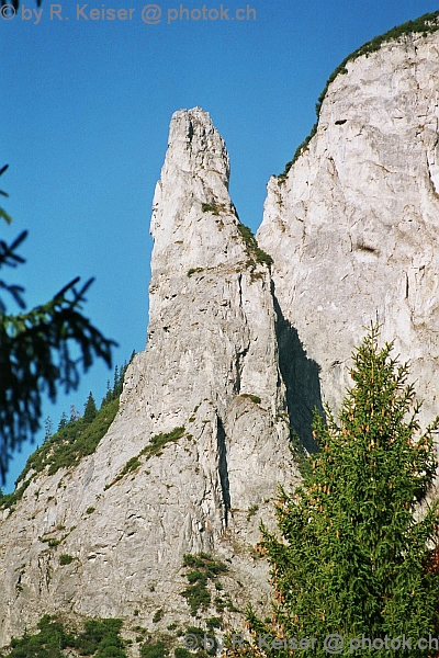Turm, Tamins, Graubnden, Schweiz