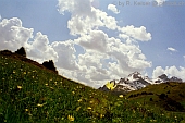 Andeer, Graubnden, Schweiz