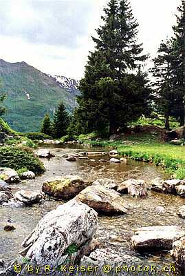 Alp Flix, Sur, Graubünden, Suisse