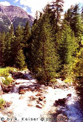 Oua d’ Es-cha, Madulain, Graubünden, Suisse