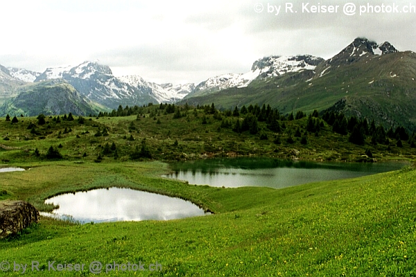 Alp Flix, Sur, Graubnden, Schweiz