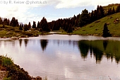 Alp Flix, Sur, Graubünden, Suisse