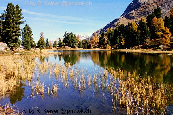 Hahnensee, St. Moritz, Graubnden, Schweiz