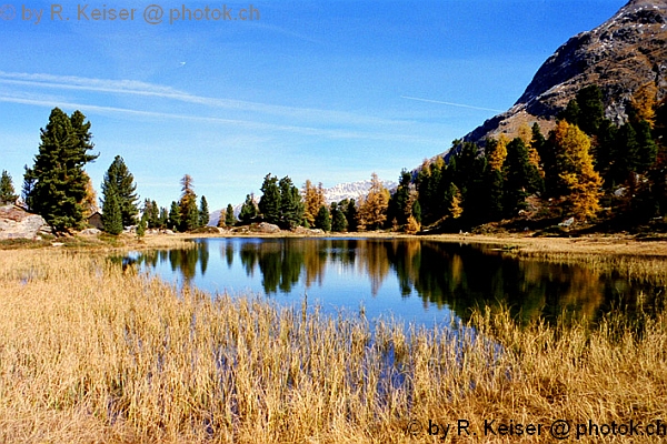 Hahnensee, St. Moritz, Graubnden, Schweiz