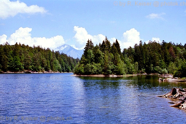 Chapfensee, Mels, St. Gallen, Schweiz