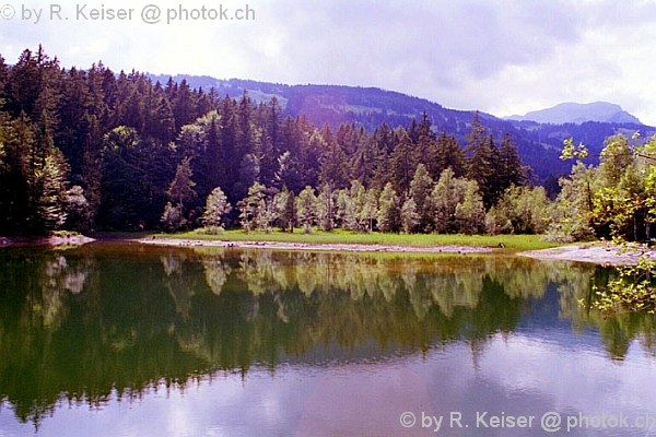 Chapfensee, Mels, St. Gallen, Schweiz