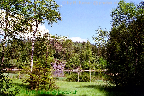 Chapfensee, Mels, St. Gallen, Schweiz