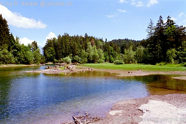 Chapfensee, Mels, St. Gallen, Schweiz