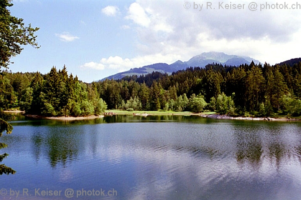 Chapfensee, Mels, St. Gallen, Schweiz