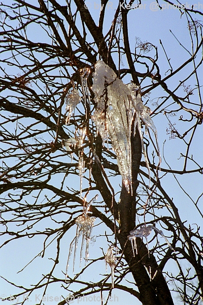 Sapn Langwies, Graubnden, Schweiz