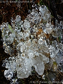 Eis
