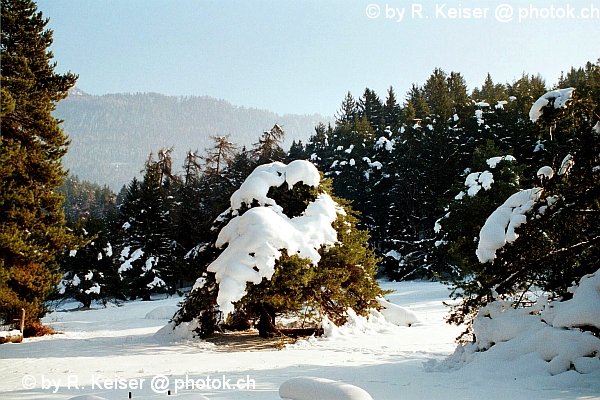 Domat/Ems, Graubnden, Schweiz