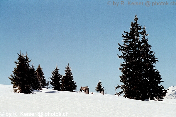 Chur Brambresch, Graubnden, Schweiz