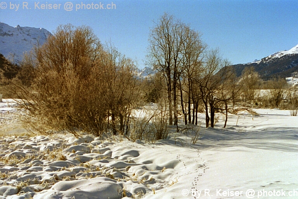 Bever, Graubnden, Schweiz