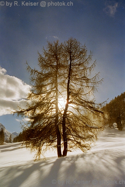 Samedan, Graubnden, Schweiz