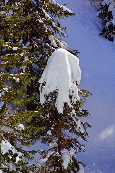 Sapn Langwies, Graubnden, Schweiz