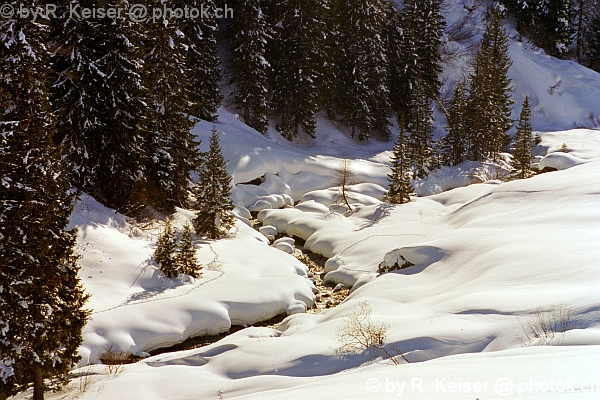 Sapn Langwies, Graubnden, Schweiz