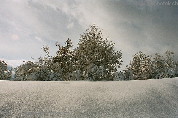 Domat/Ems, Graubnden, Schweiz