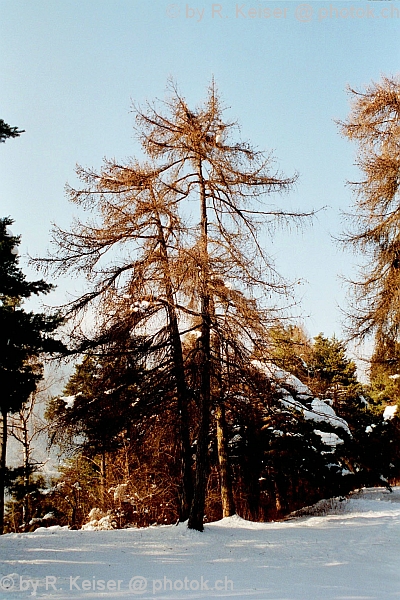 Domat/Ems, Graubnden, Schweiz