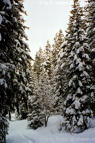 Bever, Graubnden, Schweiz