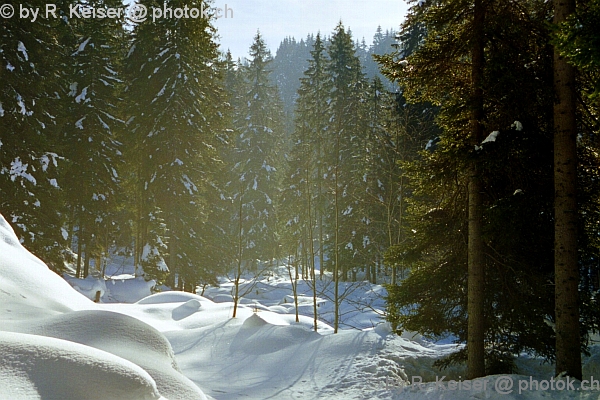 Arosa, Graubnden, Schweiz