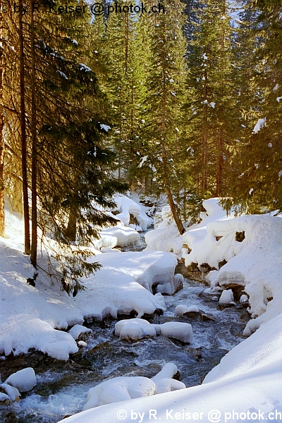 Arosa, Graubnden, Schweiz