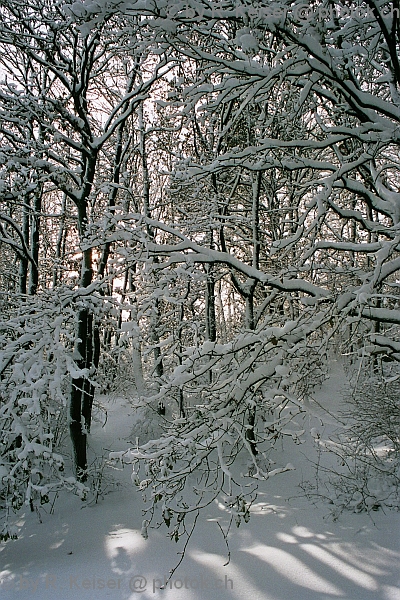 Domat/Ems, Graubnden, Schweiz