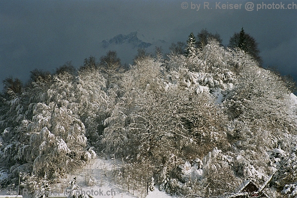 Domat/Ems, Graubnden, Schweiz