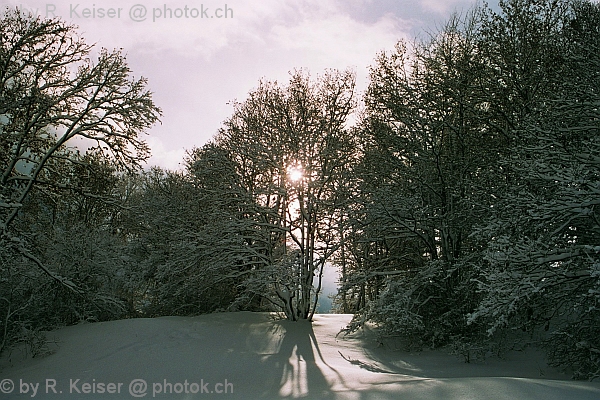 Domat/Ems, Graubnden, Schweiz