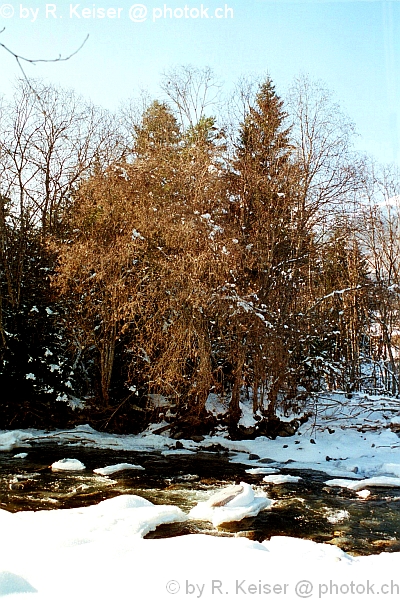 Alvaneu Bad, Graubnden, Schweiz