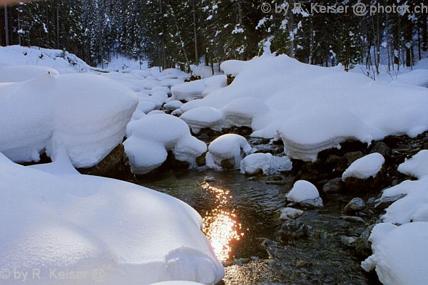 Arosa, Graubnden, Schweiz