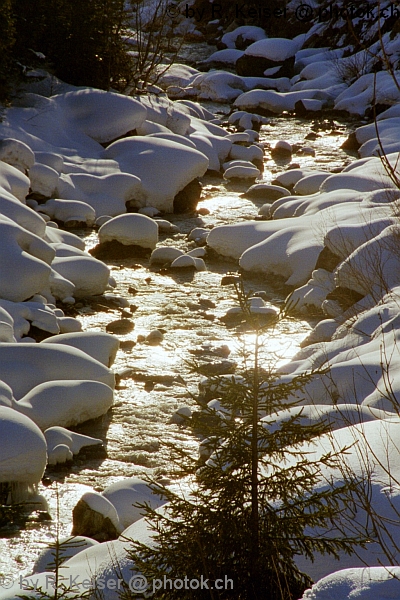 Arosa, Graubnden, Schweiz